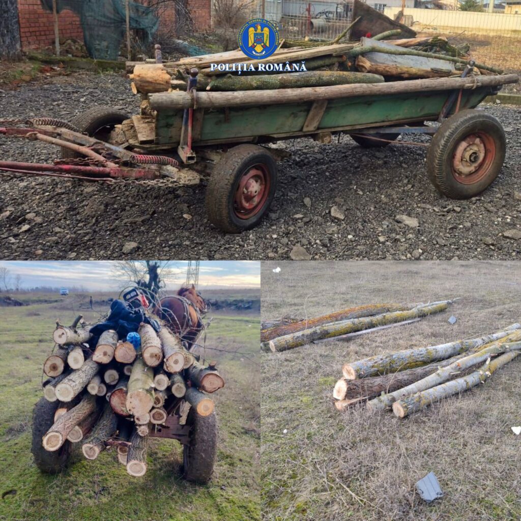 Prinși la furat de lemne în zăvoiul de la Băleni